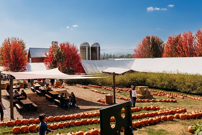 Your Guide to 2024 Fall Festivities Around Portland